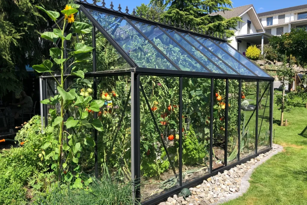Pourquoi utiliser du plexiglas pour une serre ou un abri de jardin