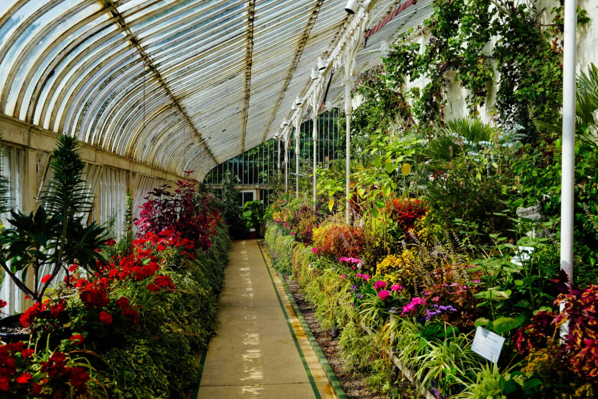 Pourquoi utiliser du plexiglas pour une serre ou un abri de jardin